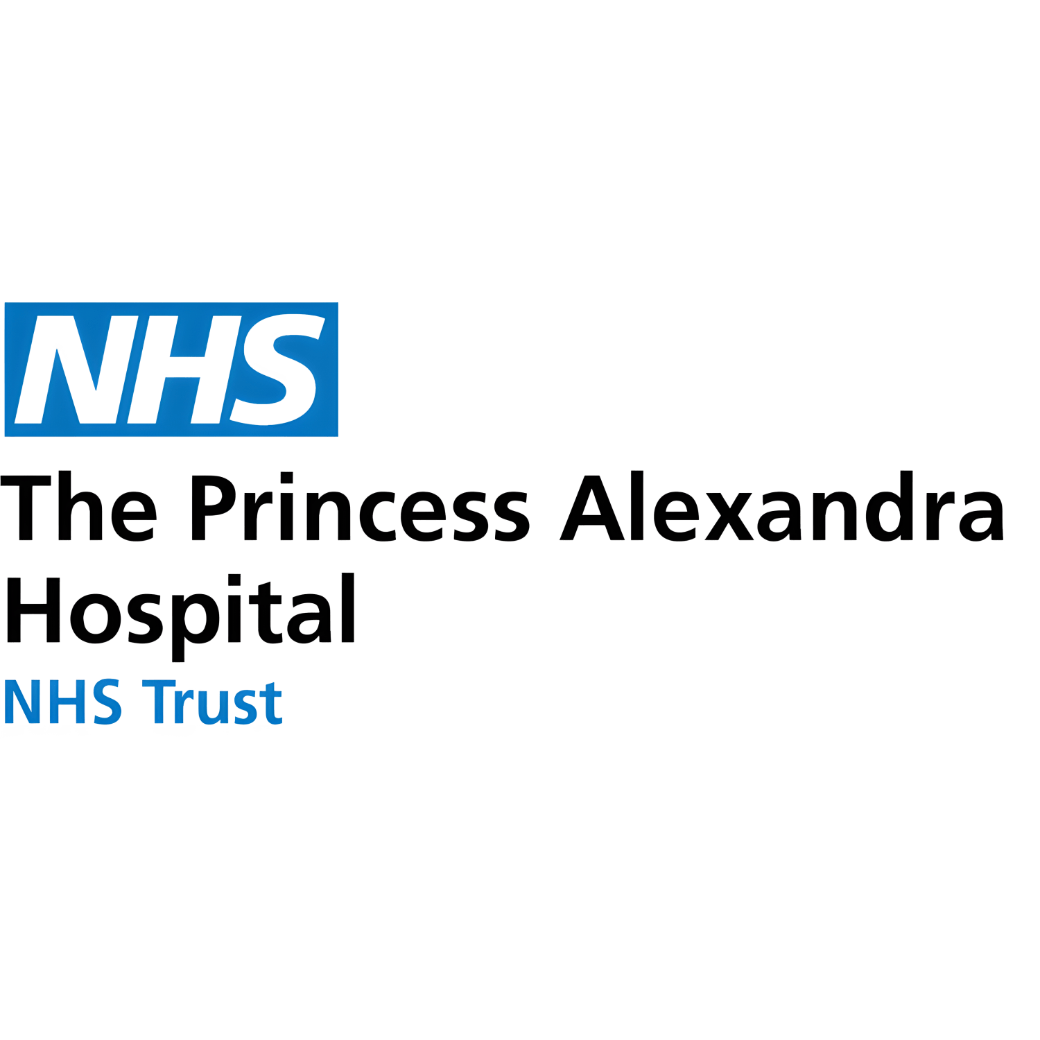The Princess Alexandra Hospital case study